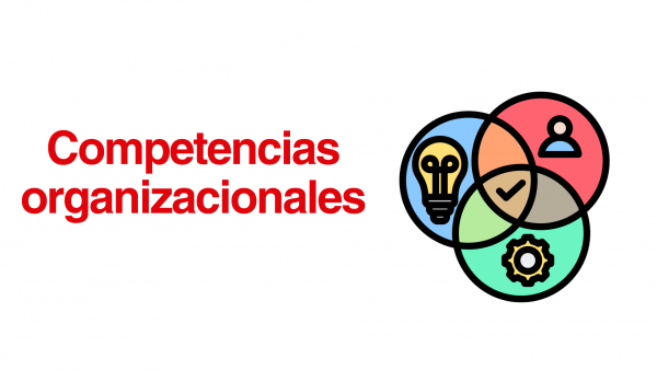 ¿Qué son las competencias organizacionales en Univalle?